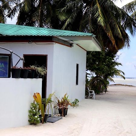 Zest Cabana Maafushi Exteriér fotografie